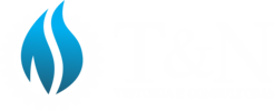 T&N Vistoria e Consultoria