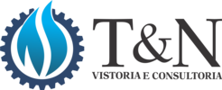 T&N Vistoria e Consultoria